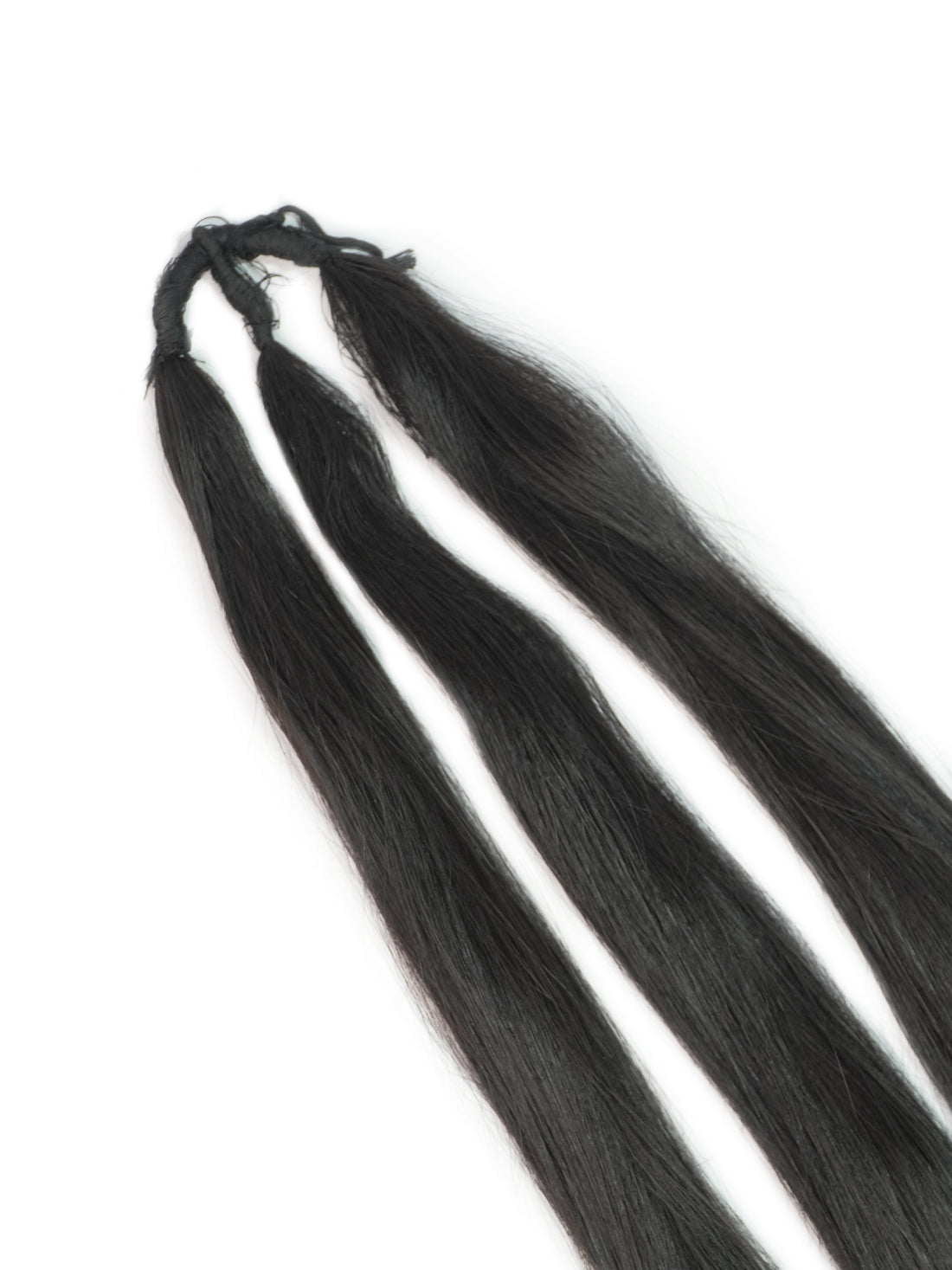 Traditional Savri Ponytail